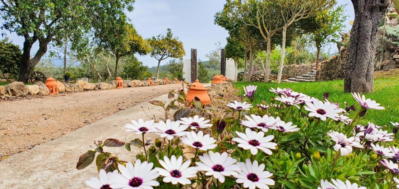 Agroturismo Can Marquet - Adults Only Santa Gertrudis  Exteriör bild